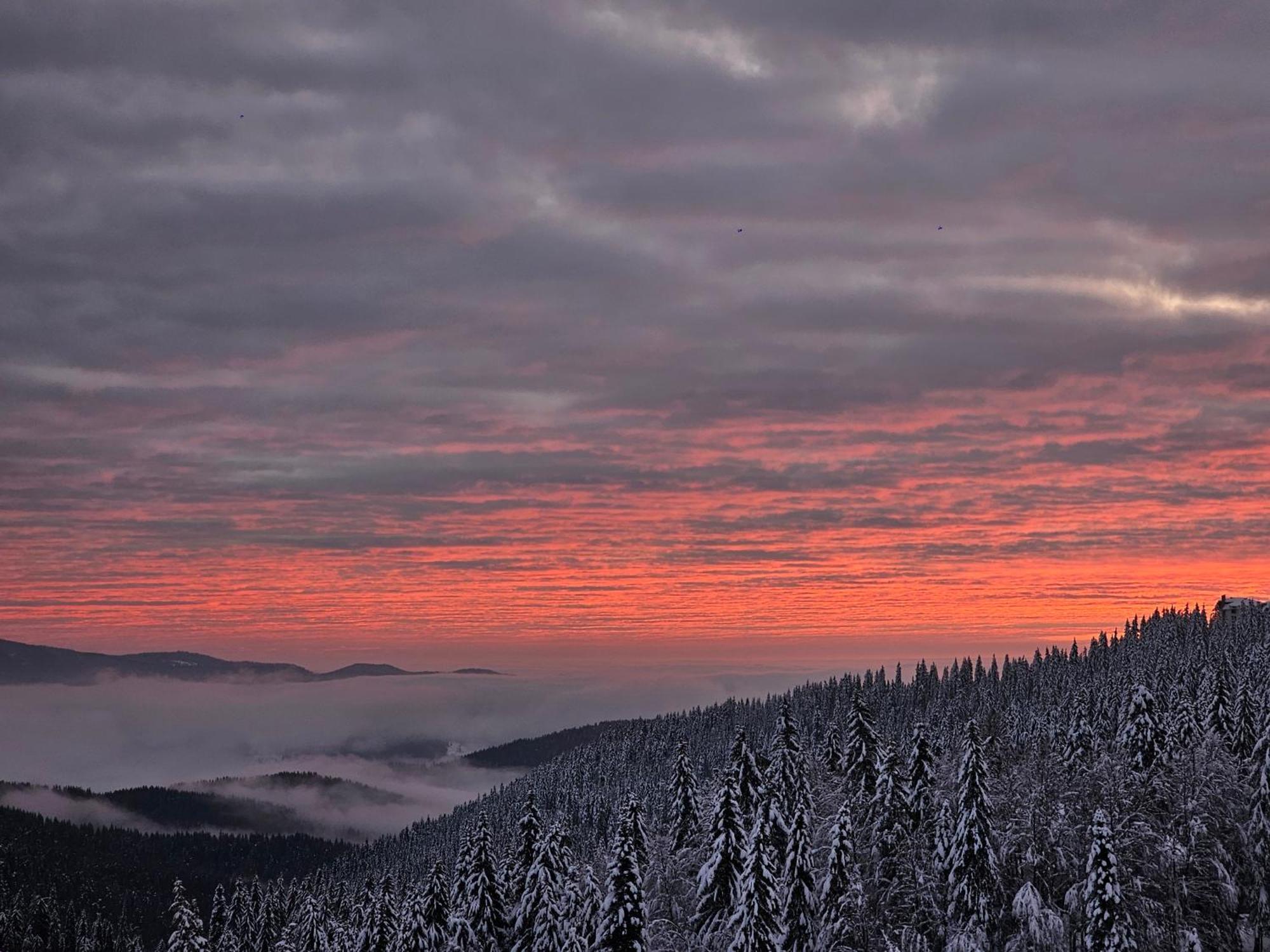 Viva 4-A-23 Apartment Ski To The Door Complex Grand Monastery Pamporovo Buitenkant foto